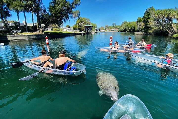 Crystal River, FL