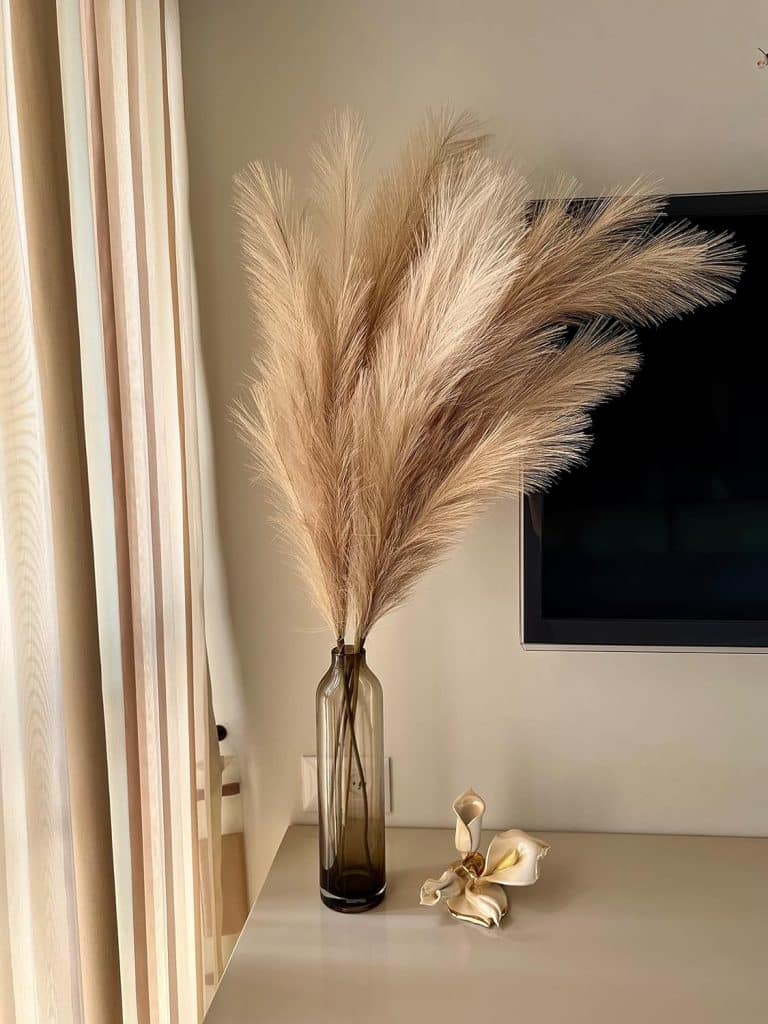 Fluffy Decorative Grasses