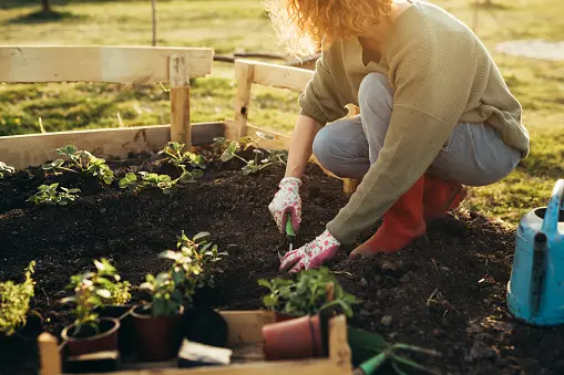 Gardening