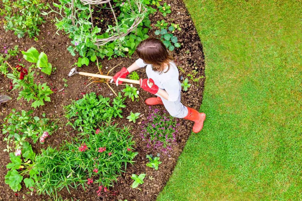 Growing Plants