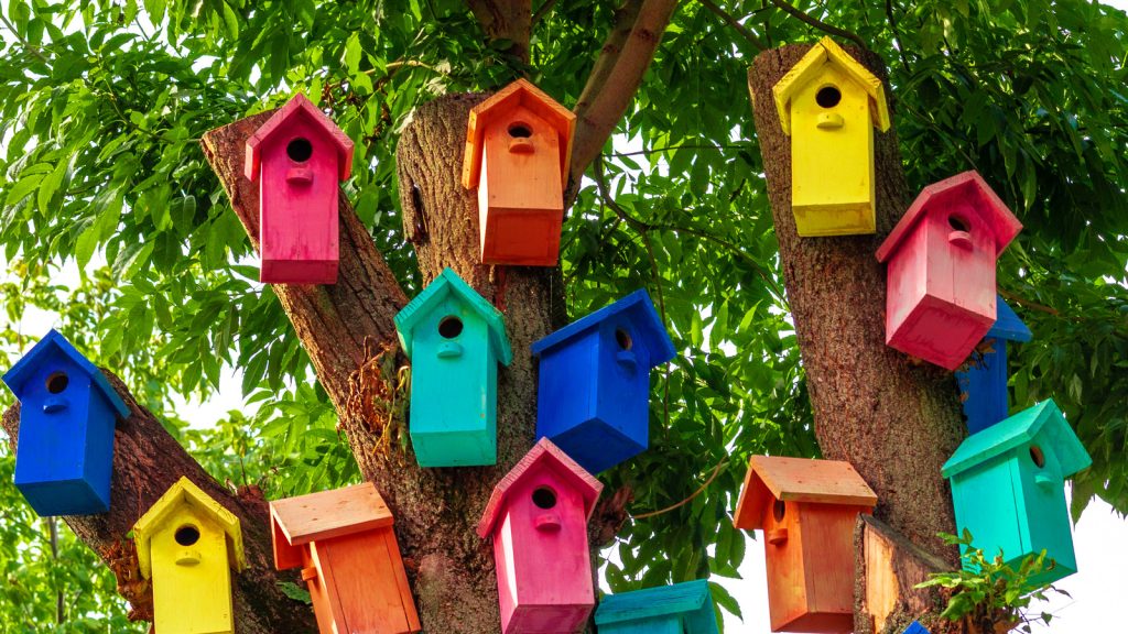 make a birdhouse 