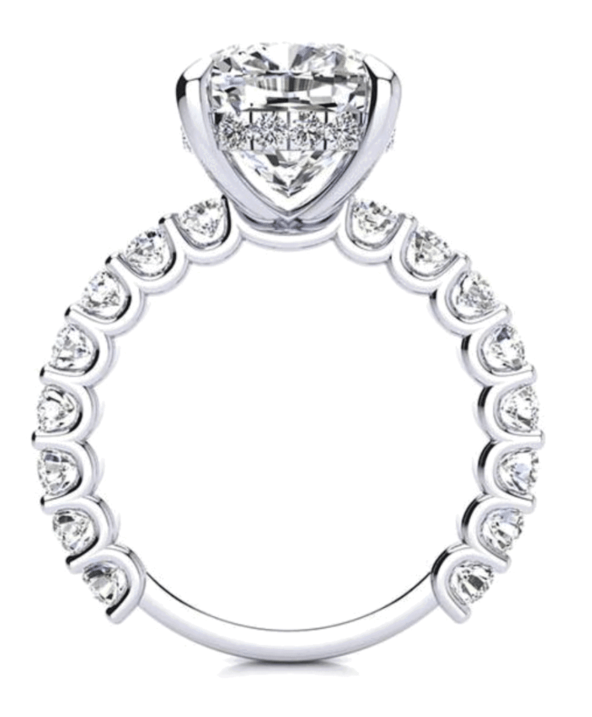 Griselda's Moissanite Ring