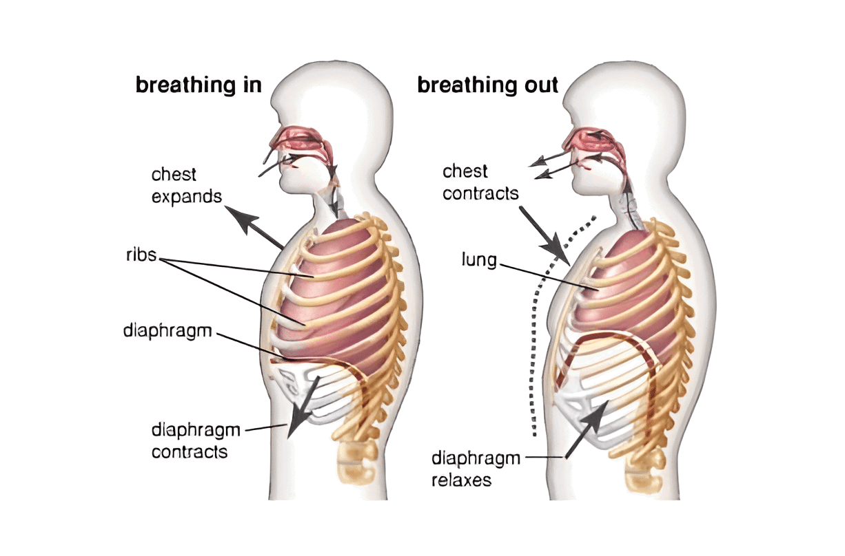 Importance of Proper Singing Technique