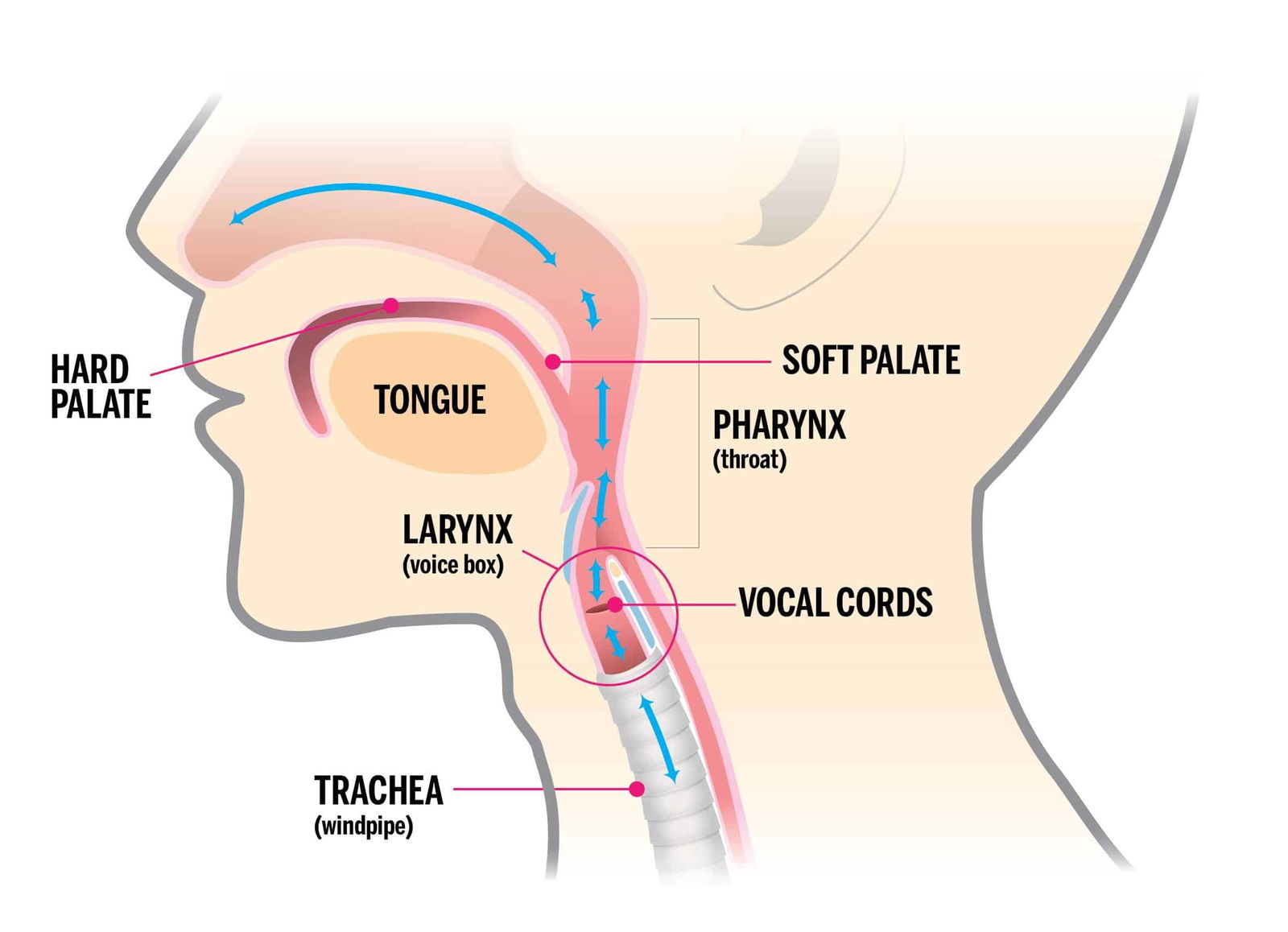 Understanding Throat Singing