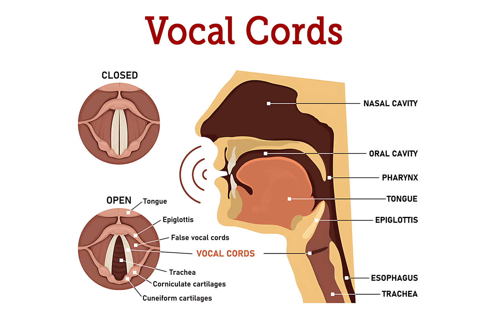 What is Singing From the Throat?