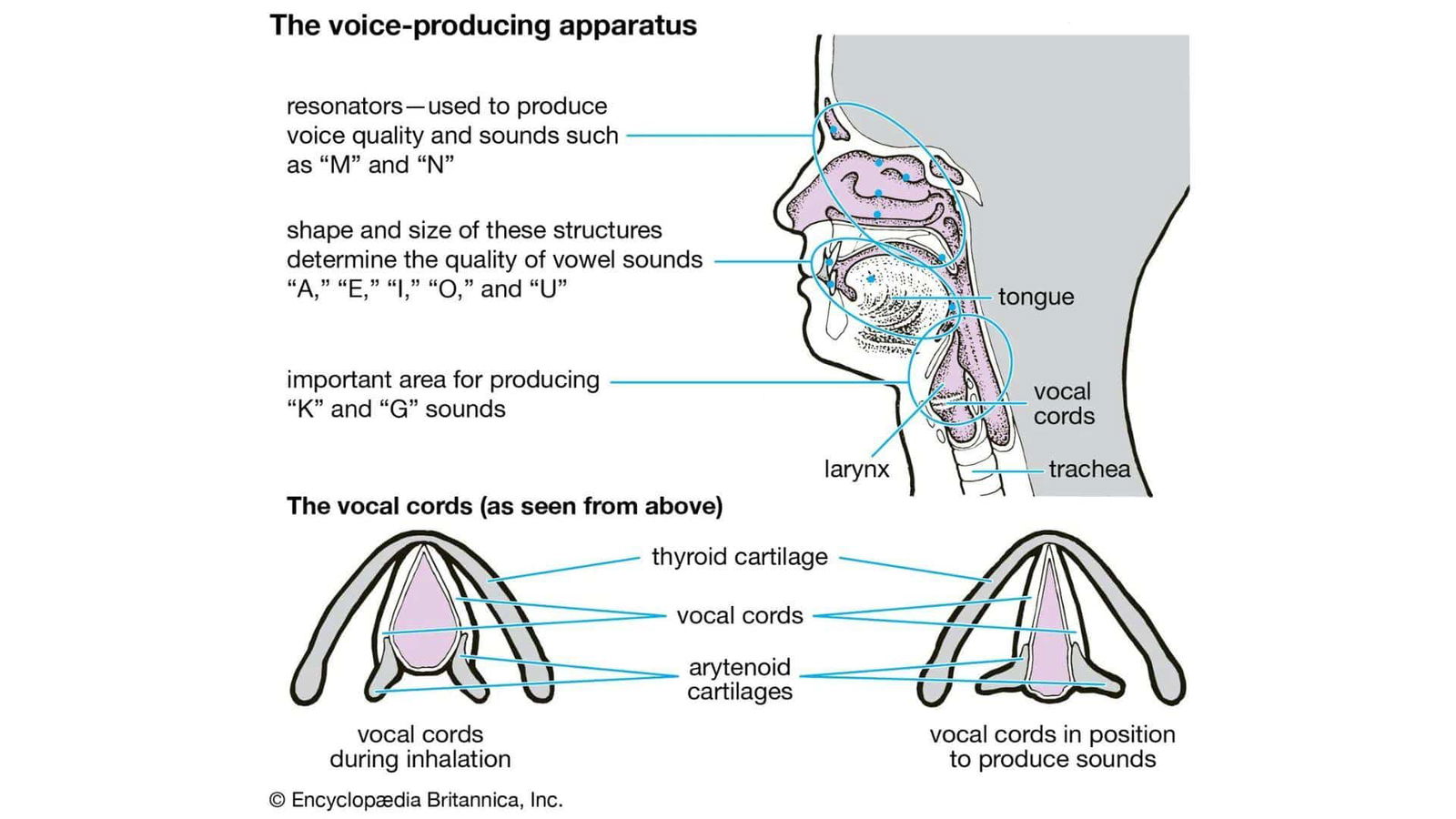 Elements_of_Vocal_Style