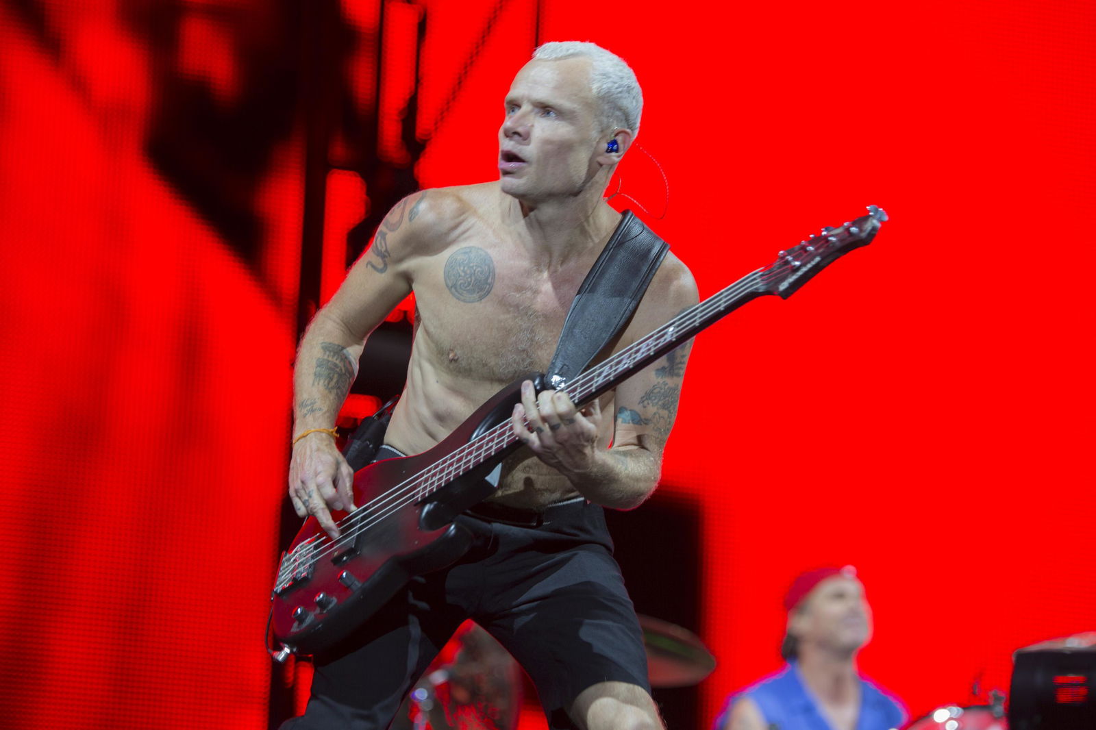 Flea