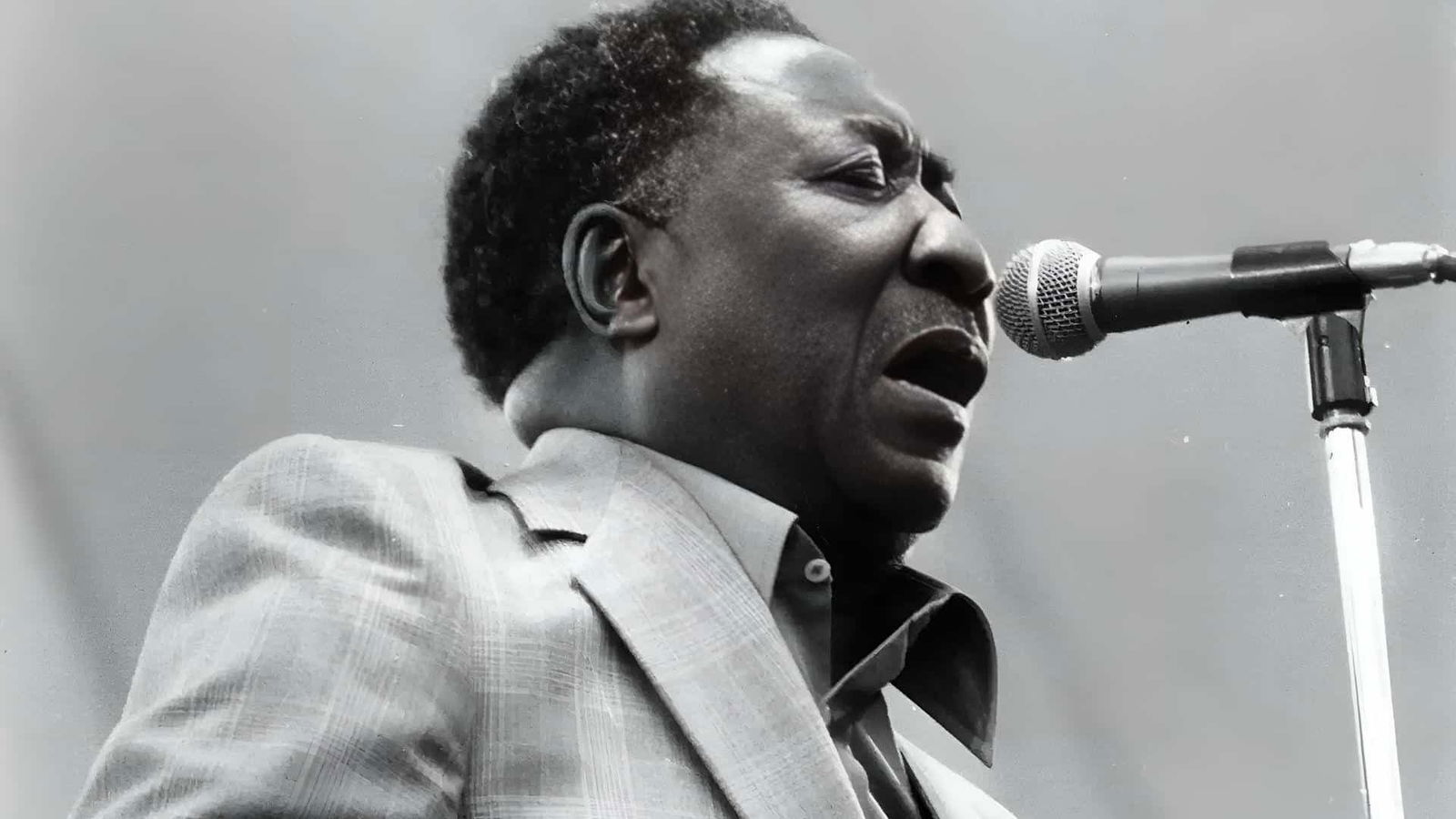 Muddy_Waters