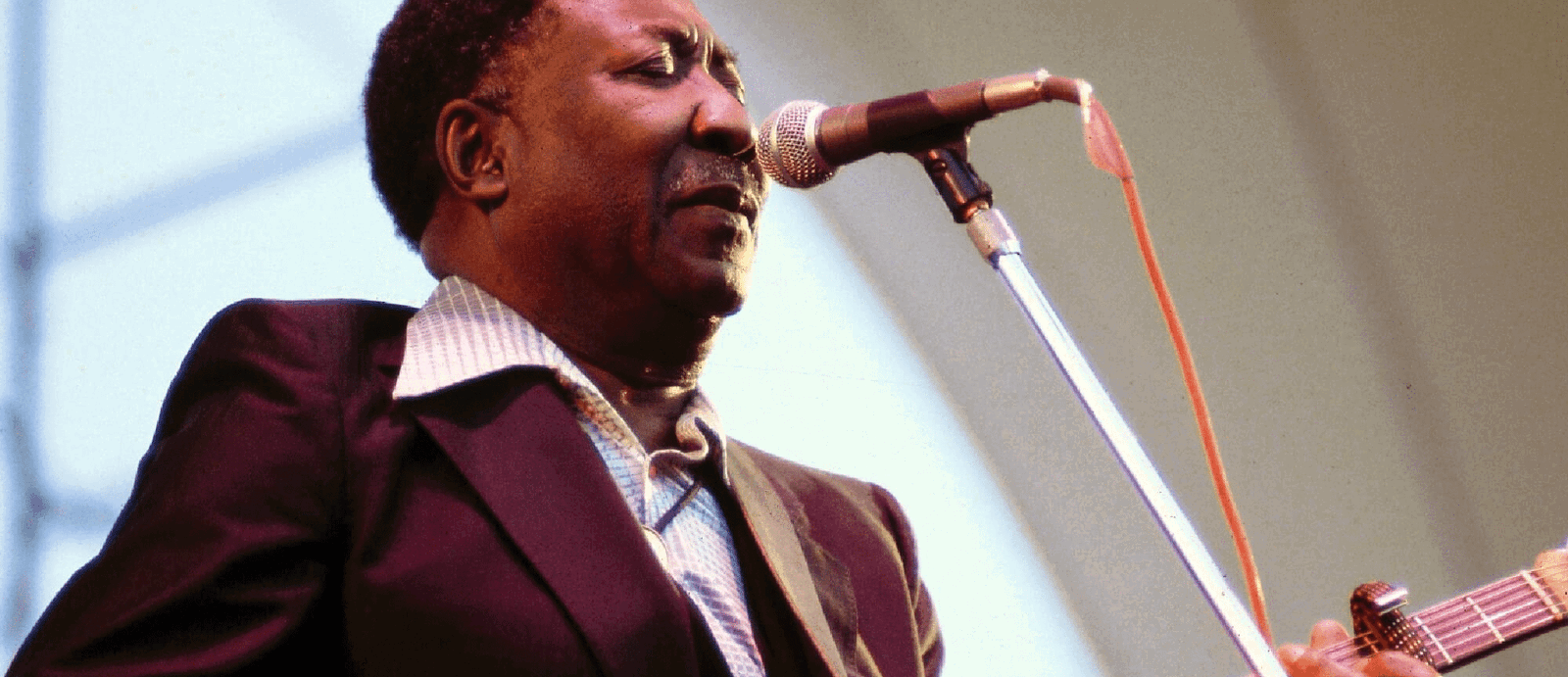 Muddy_Waters