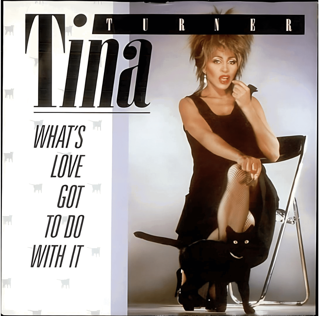 Whats_Love_Got_to_Do_with_It_Tina_Turner