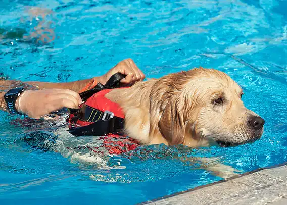 Hydrotherapy Methods and Preparations