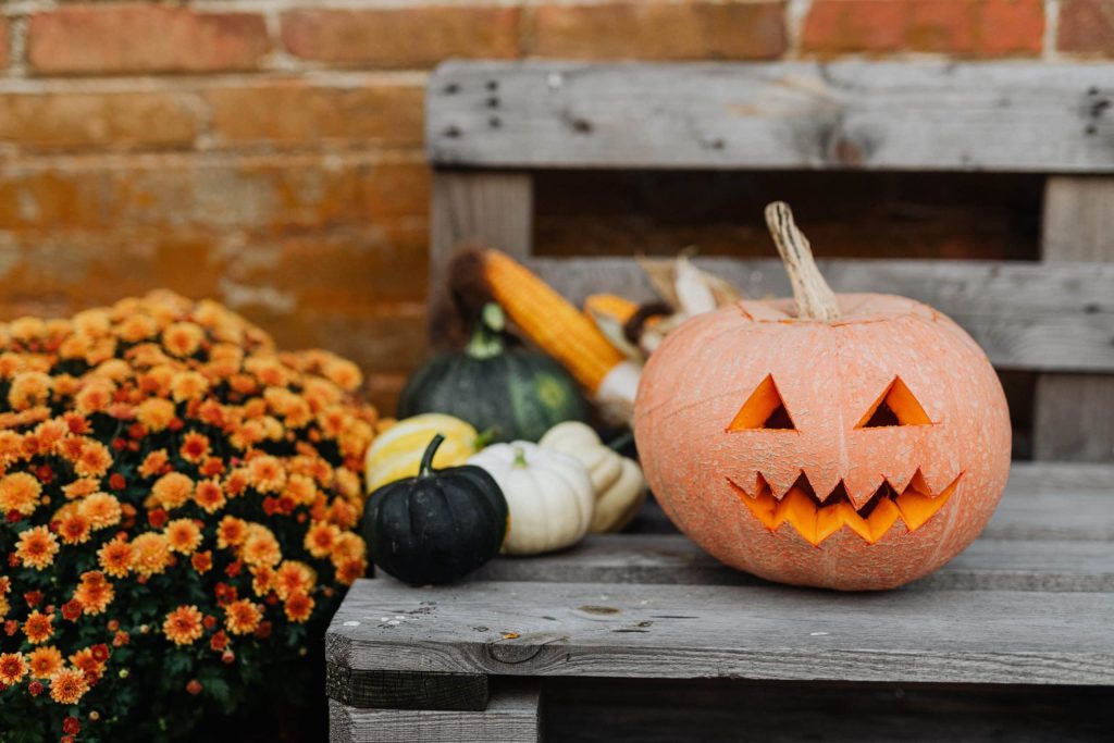 Eco-Friendly Halloween: Sustainable Decorating and Costume Ideas