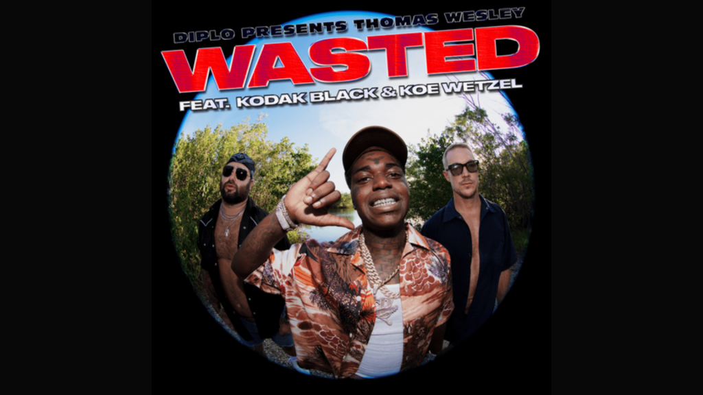 Let Go and Enjoy Wasted Lyrics by Diplo