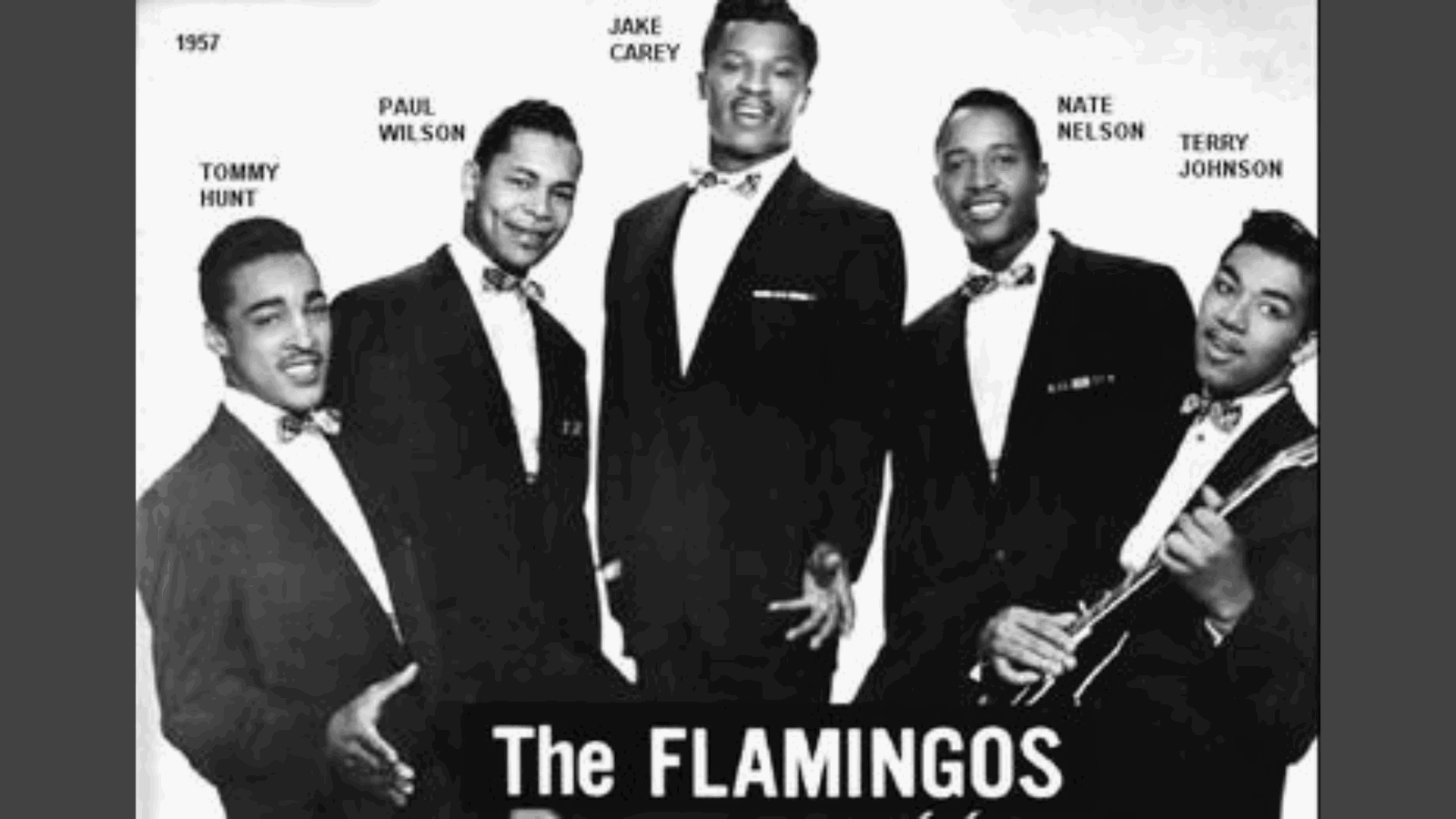 The_Flamingos
