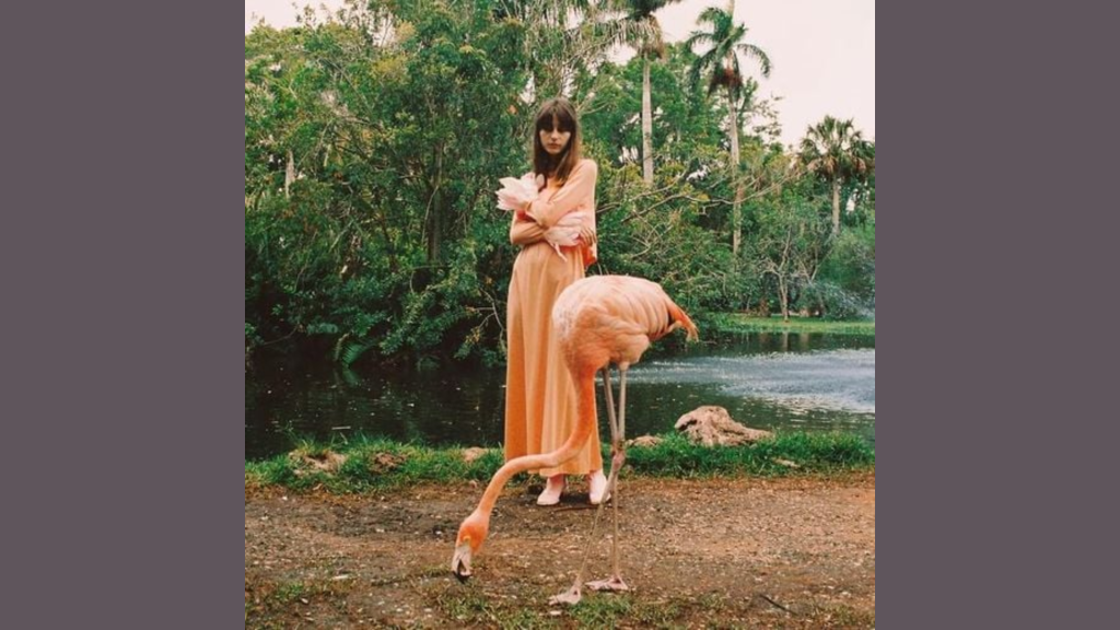 kingston faye webster lyrics