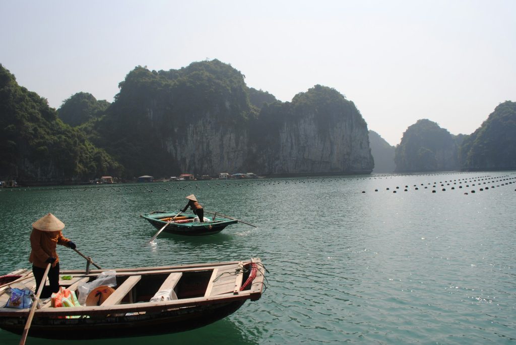 Where the Beat Drops: 7 Asian Destinations with Epic Nightlife